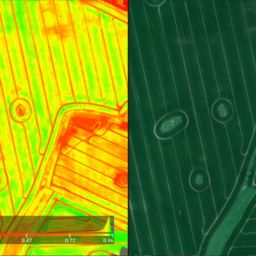 DUAL NDVI