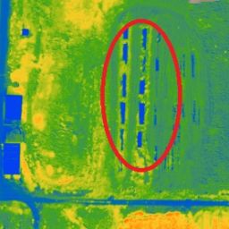 pièges NDVI